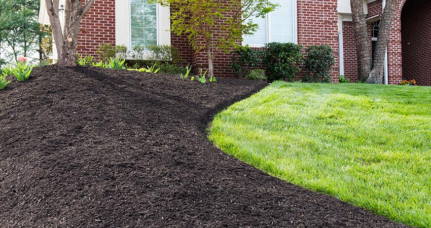 Lawn Care services in Oregon
