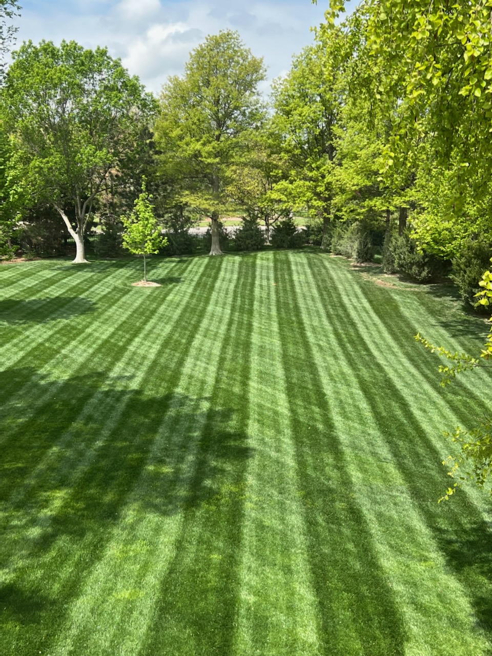 View mulch installation project in Perrysburg
