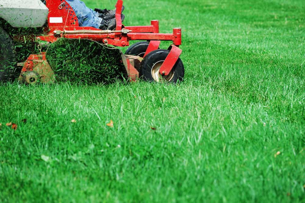 View tree & shrub planting project in Perrysburg