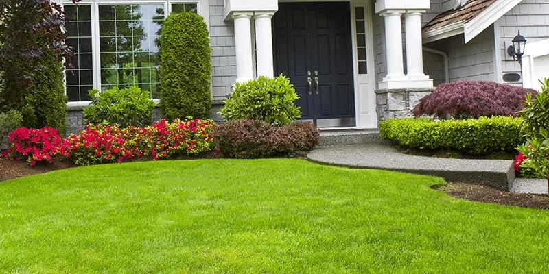 Lawn Maintenance example 3
