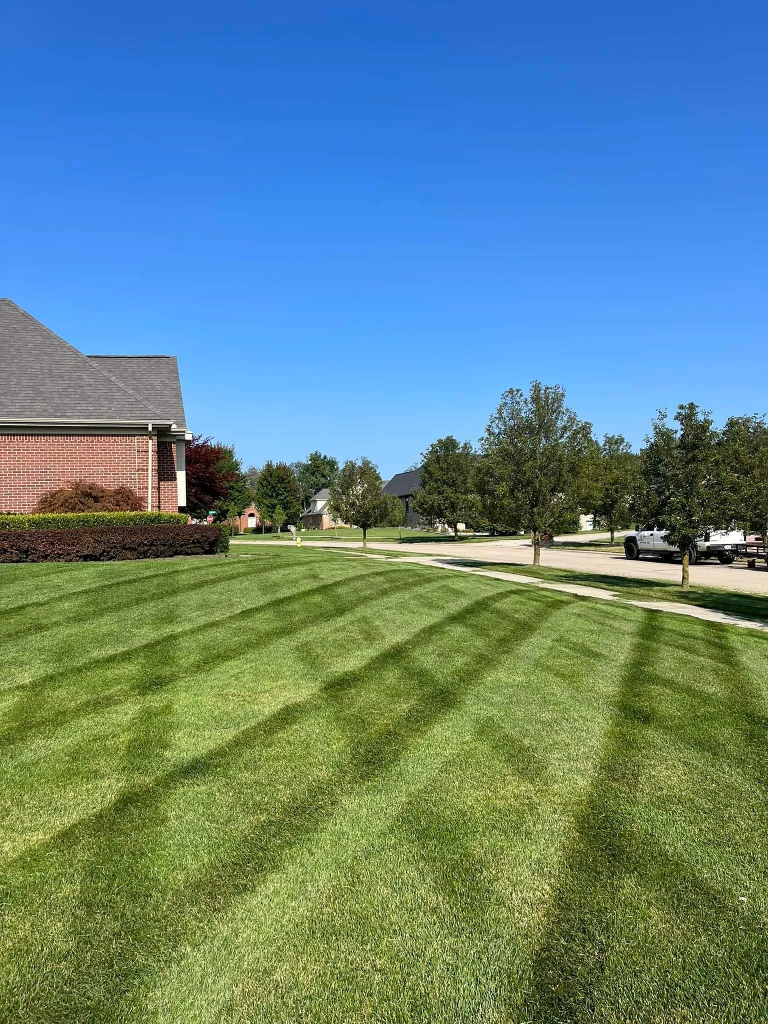 Lawn Maintenance example 4