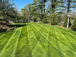 Lawn Maintenance example 5