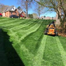 Lawn Maintenance example 6
