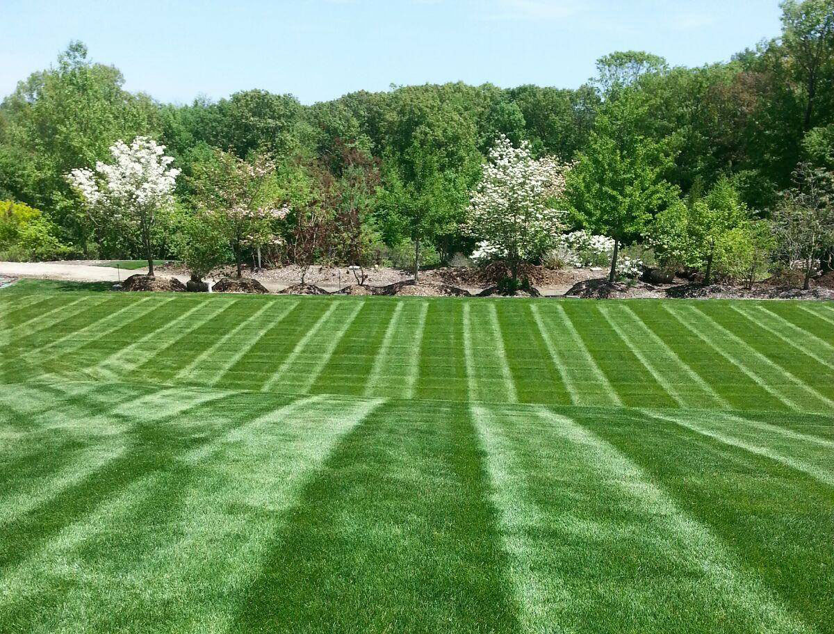 Lawn Maintenance example 7