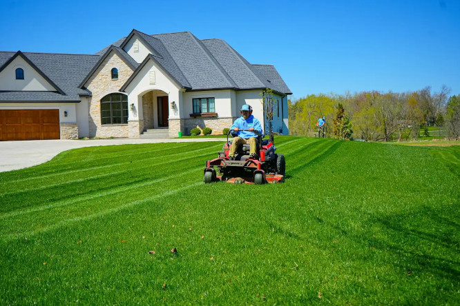 Lawn Maintenance example 8