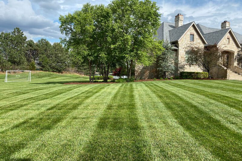 Lawn Maintenance example 9
