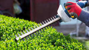 Shurb Trimming example 6